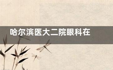 哈尔滨医大二院眼科在线咨询？ 0451-86605612是院内24小时客服热线！